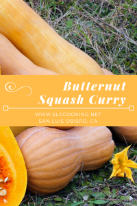 Butternut Squash Curry