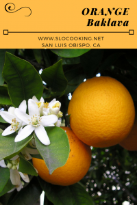 Orange Honey Baklava from sloCooking.net