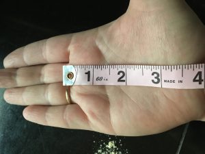 How to measure a chef knife from sloCooking.net