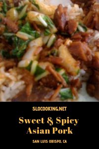 sweet & spicy Asian pork from sloCooking.net
